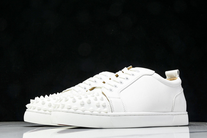Christian Loubout1n Customize Shoes