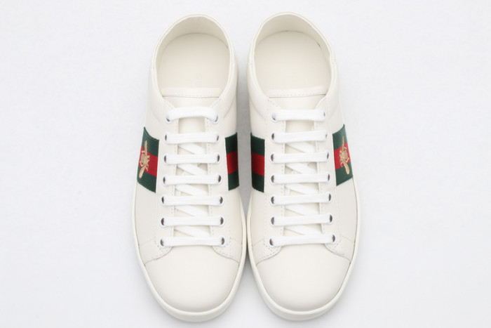 gc ace sneakers